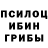 Псилоцибиновые грибы Psilocybe Tangsik,That's right